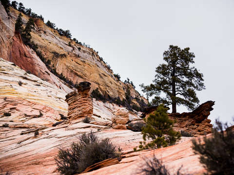 Zion national park 34