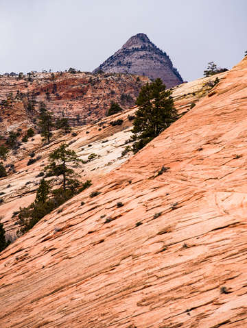 Zion national park 37
