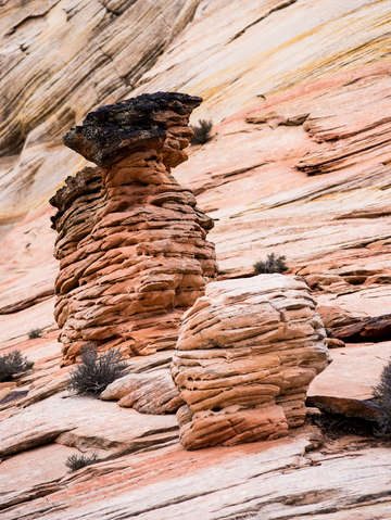 Zion national park 39
