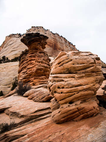 Zion national park 44