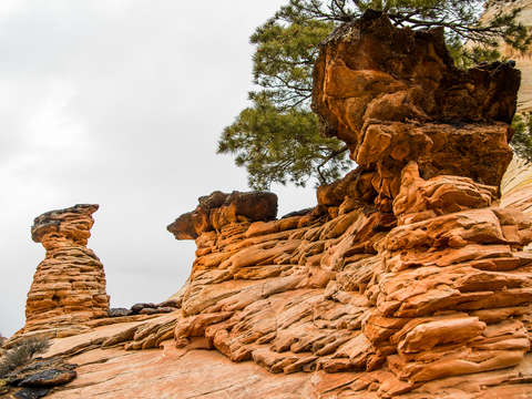 Zion national park 43