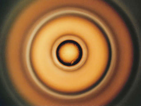 Untitled 262