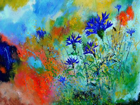 Blue cornflowers