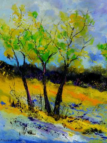 Trees 887160