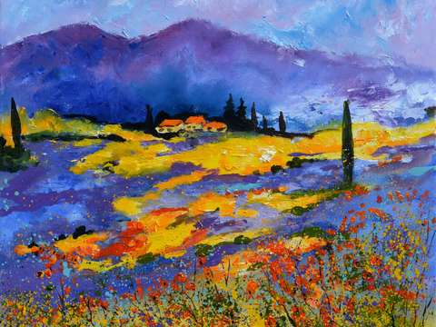 Provence lavender