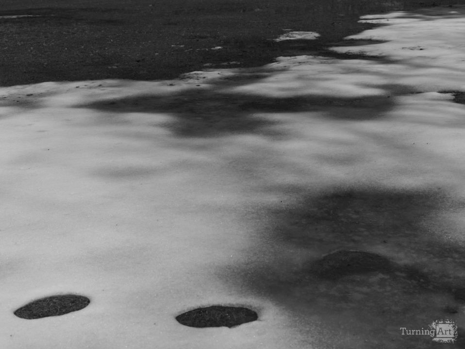 Untitled l1700344