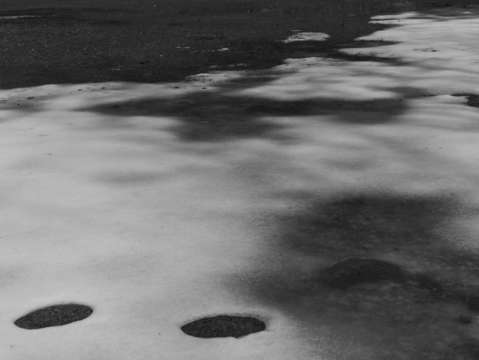 Untitled l1700344