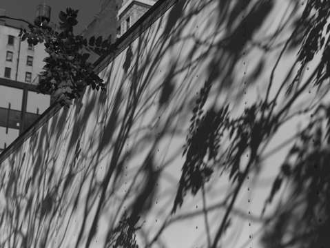 Untitled l1701195