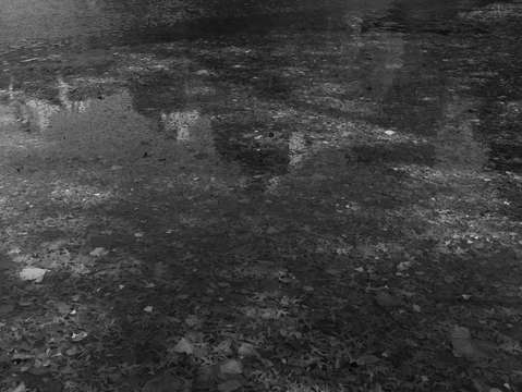 Untitled l1701266