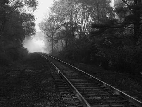 Untitled l1800636