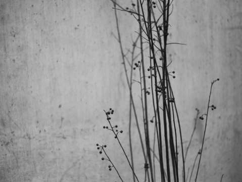 Untitled l1801194