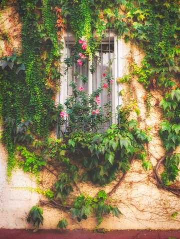 A window in le suquet cannes