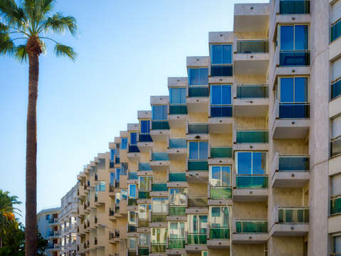 Cannes architecture palm