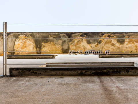 Clothes pin in cannes le suquet
