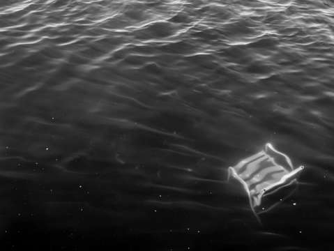 Chair in the bay