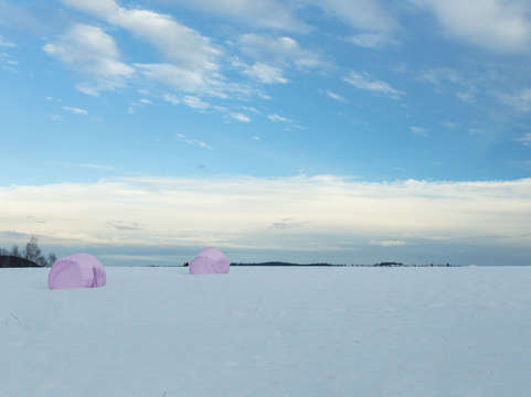 Winter field 2