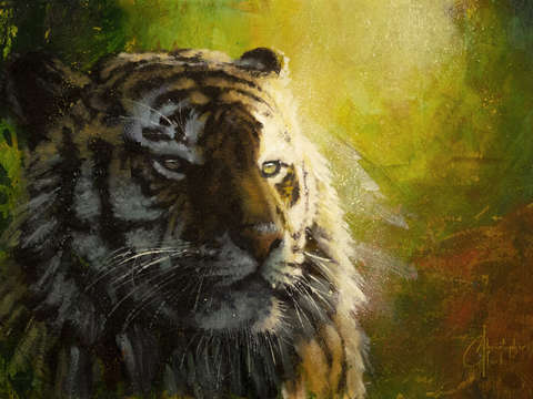 Tigers light
