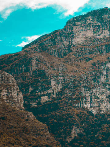 Mountain forest