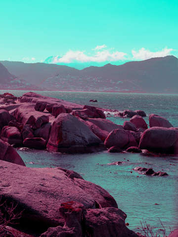 The bay 2