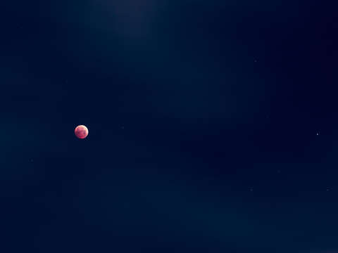 Super blood wolf moon i