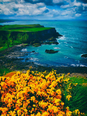 Causeway yellow