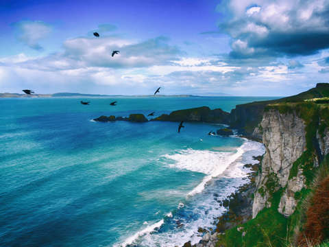 White beach flight