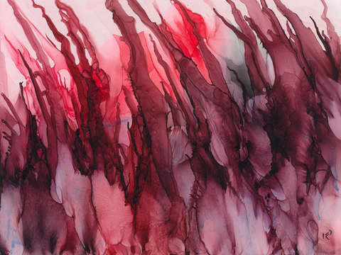Fire 8