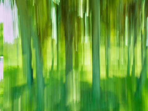 Moving trees 12 landscape 52 70