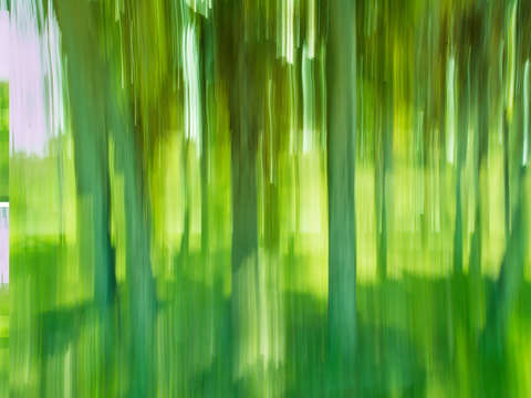 Moving trees 12 green 52 70 360px