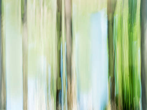 Moving trees 14 landscape 52 70 200px