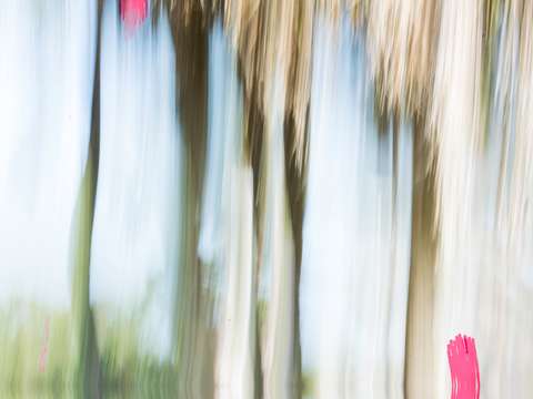 Moving trees 15 landscape 52 70 200px