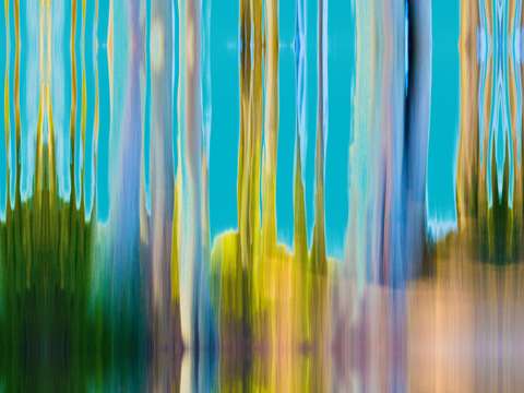 Moving trees 20 landscape 52 70 200px