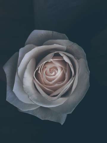 Isolated romance