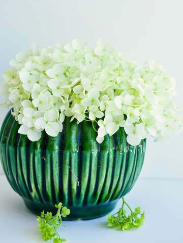 White hydrangea in green vase
