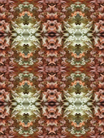 Cactus bloom 00033a set
