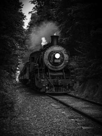 Take the night train