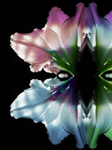 Floral mask