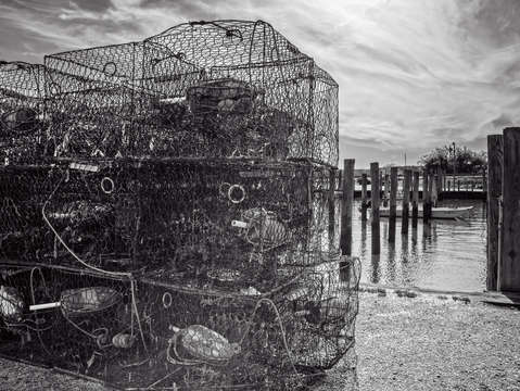 Willis crab pots