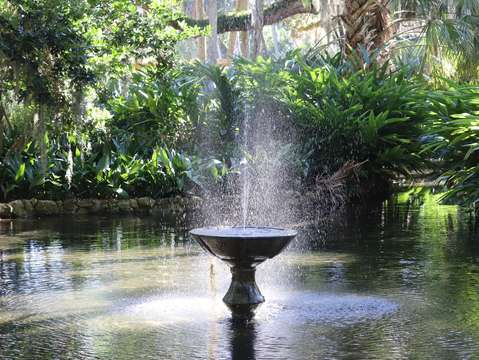 The fountain