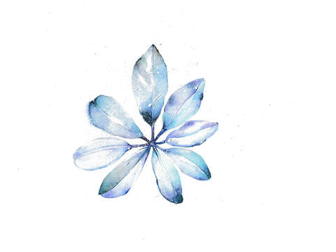 Cosmic leaf