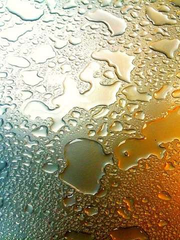 Wet 3
