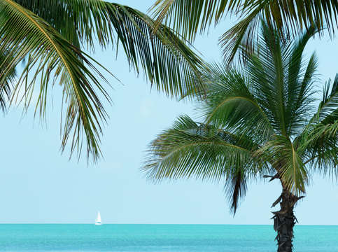 Florida keys