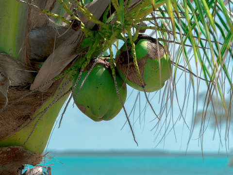 Florida keys 2