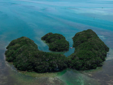 Florida keys 3