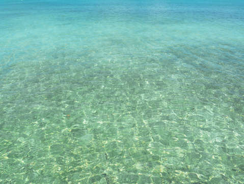 Florida keys 5