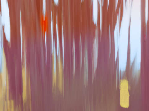 Moving trees 27 landcape 52 70 200px