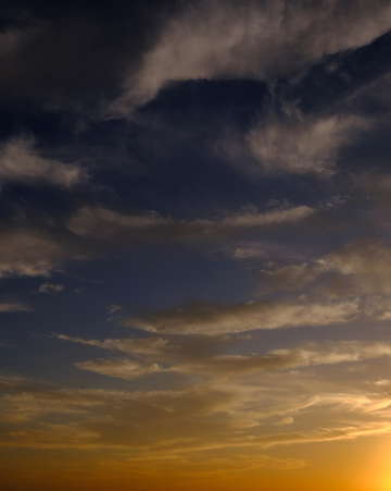 Plane in the sky