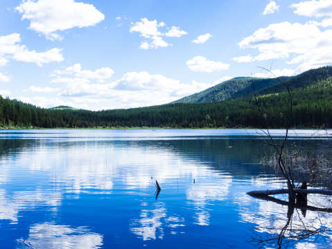 Lone lake