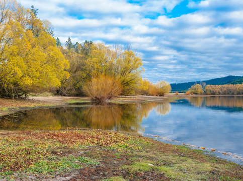 Autumn on the shore