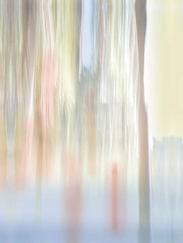 Moving trees 33 portrait 52 70 200px